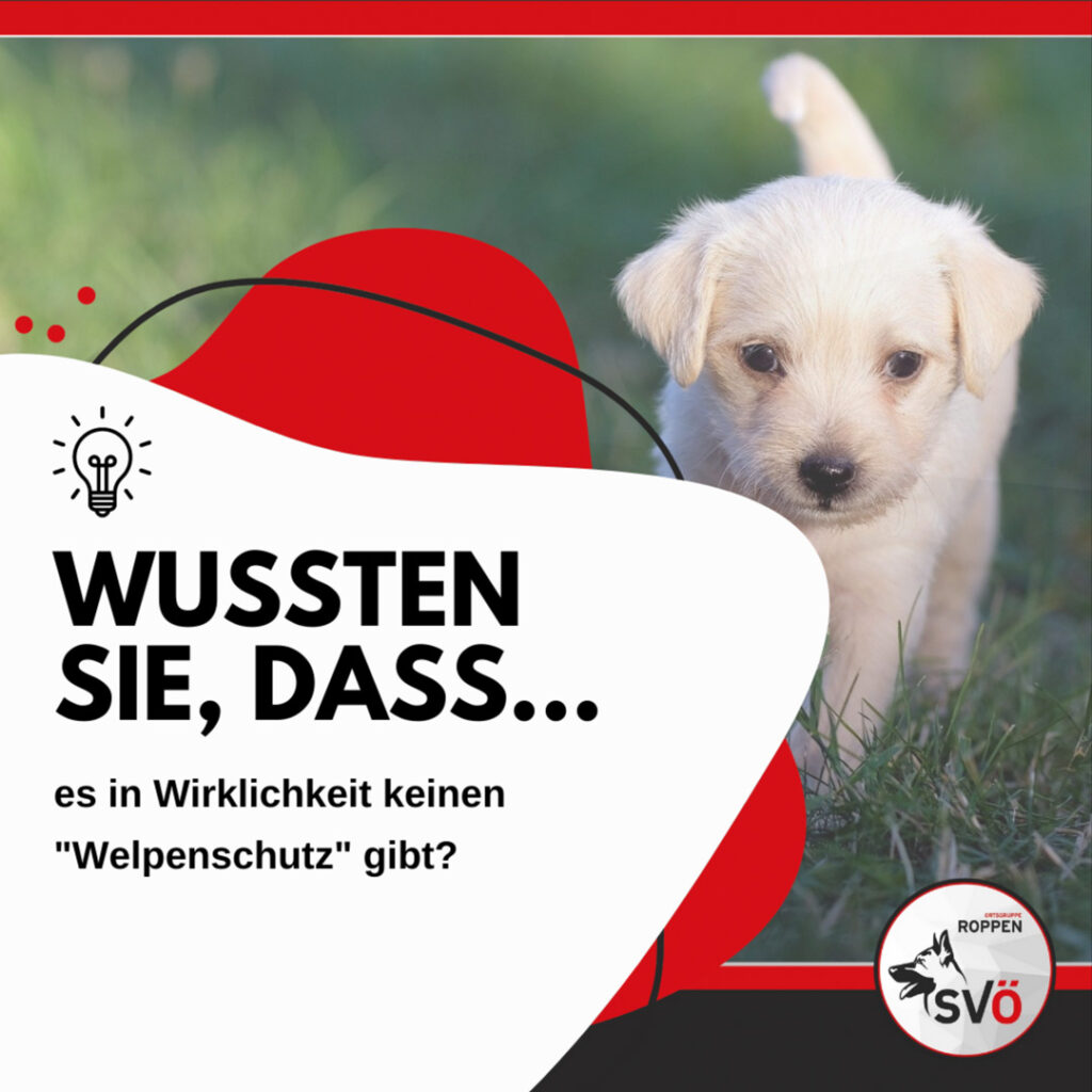 Wussten Sie, dass es keinen Welpenschutz gibt? - SVÖ Roppen ...